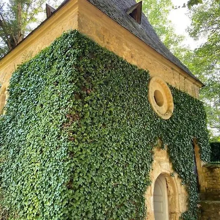 Coeur De Dordogne, Vue Vallee, Grande Piscine Privee * La Bachellerie